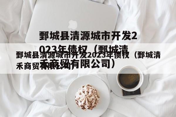 鄄城县清源城市开发2023年债权（鄄城清禾商贸有限公司）