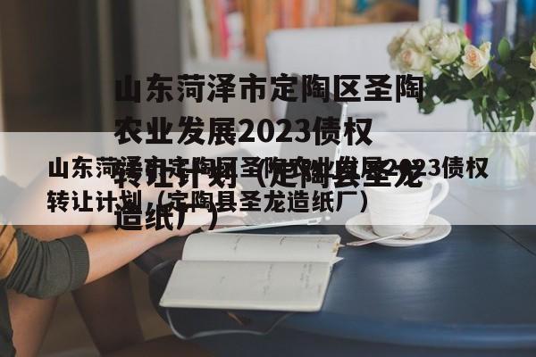 山东菏泽市定陶区圣陶农业发展2023债权转让计划（定陶县圣龙造纸厂）