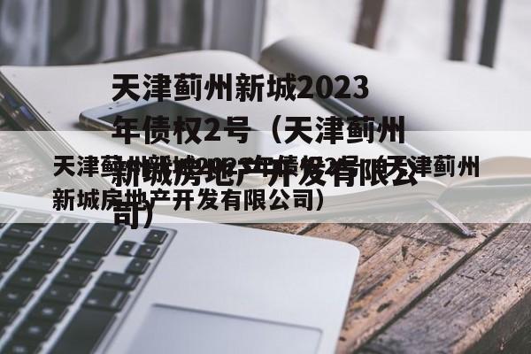 天津蓟州新城2023年债权2号（天津蓟州新城房地产开发有限公司）