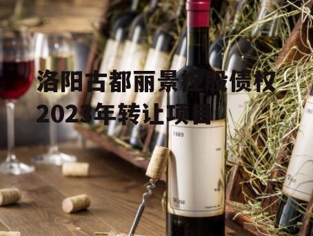 洛阳古都丽景控股债权2023年转让项目