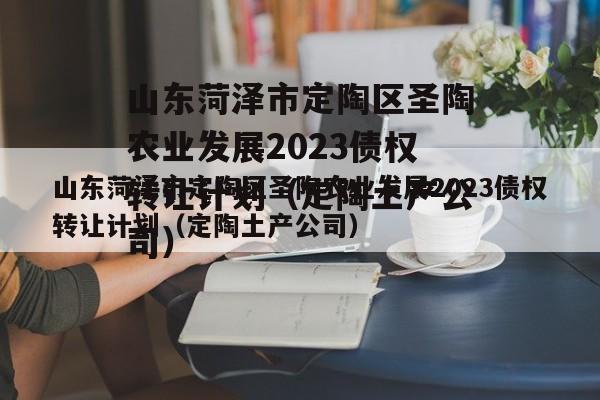 山东菏泽市定陶区圣陶农业发展2023债权转让计划（定陶土产公司）