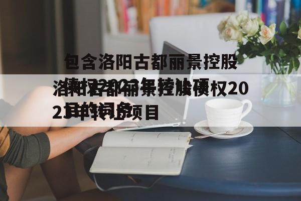 包含洛阳古都丽景控股债权2023年转让项目的词条