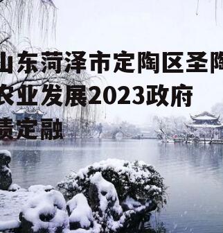 山东菏泽市定陶区圣陶农业发展2023政府债定融