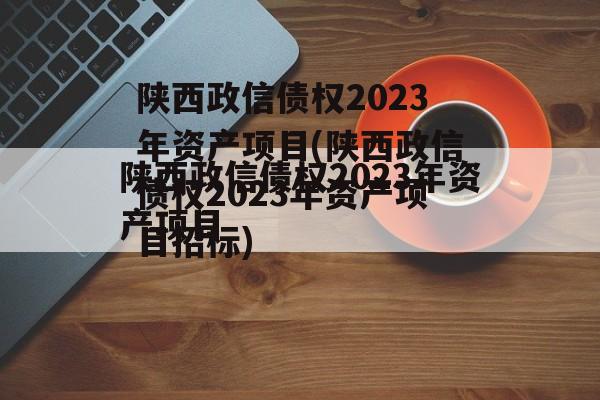 陕西政信债权2023年资产项目(陕西政信债权2023年资产项目招标)