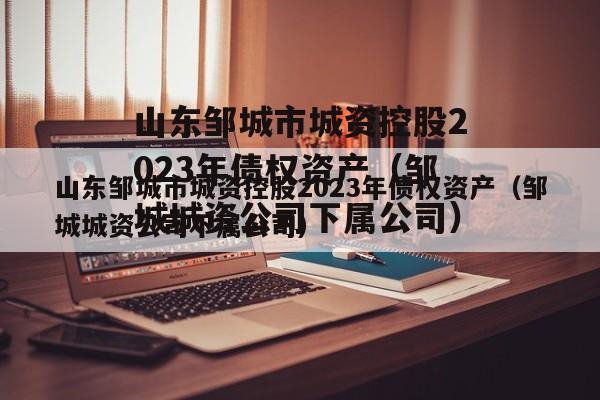 山东邹城市城资控股2023年债权资产（邹城城资公司下属公司）