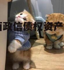 陕西政信债权资产项目