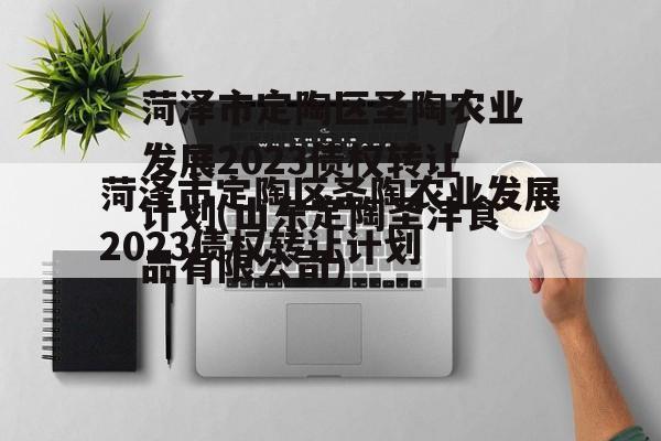 菏泽市定陶区圣陶农业发展2023债权转让计划(山东定陶圣沣食品有限公司)