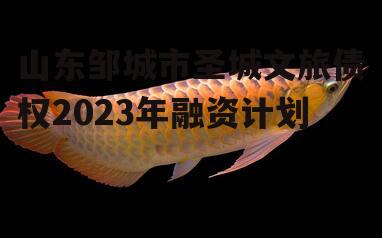 山东邹城市圣城文旅债权2023年融资计划