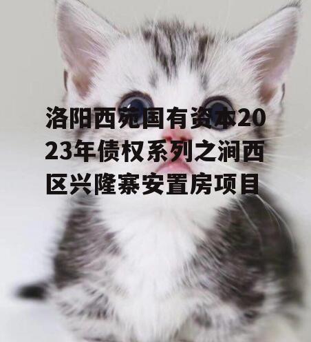 洛阳西苑国有资本2023年债权系列之涧西区兴隆寨安置房项目