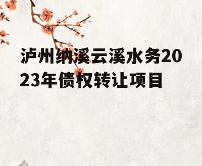 泸州纳溪云溪水务2023年债权转让项目