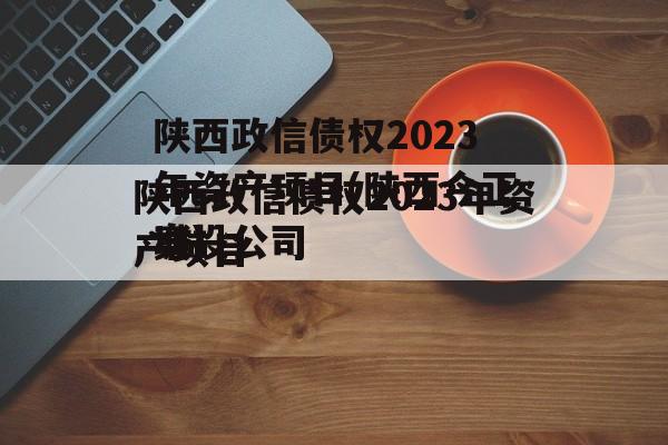 陕西政信债权2023年资产项目(陕西今正诈骗案)