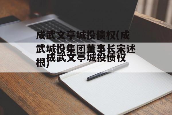 成武文亭城投债权(成武城投集团董事长宋述根)