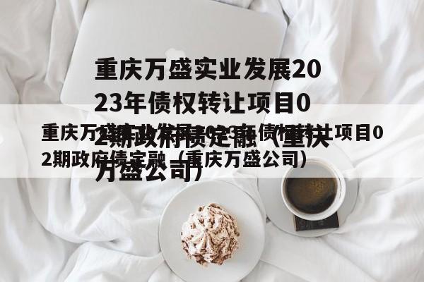 重庆万盛实业发展2023年债权转让项目02期政府债定融（重庆万盛公司）