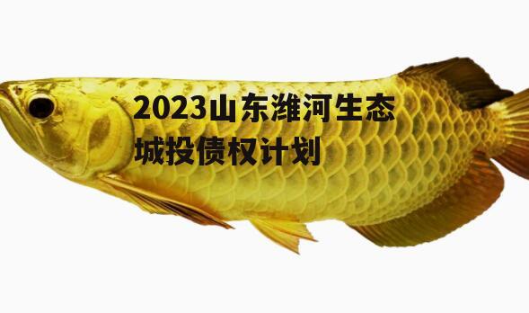 2023山东潍河生态城投债权计划