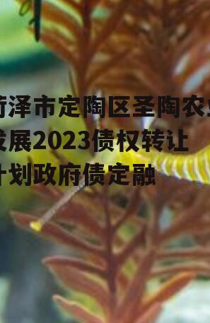 菏泽市定陶区圣陶农业发展2023债权转让计划政府债定融