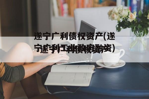 遂宁广利债权资产(遂宁广利工业政府融资)