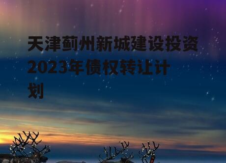 天津蓟州新城建设投资2023年债权转让计划