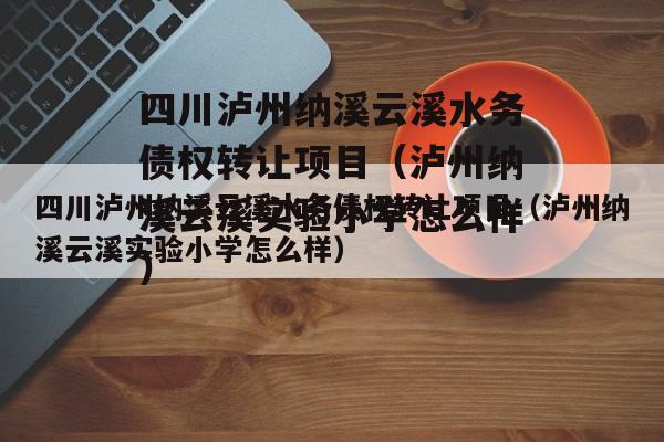 四川泸州纳溪云溪水务债权转让项目（泸州纳溪云溪实验小学怎么样）