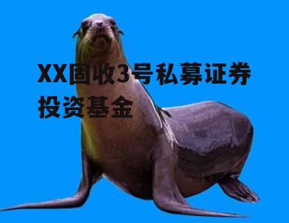 XX固收3号私募证券投资基金