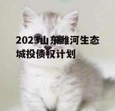 2023山东潍河生态城投债权计划