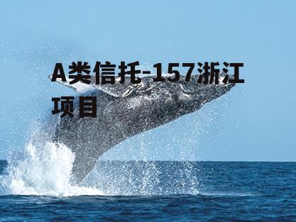 A类信托-157浙江项目