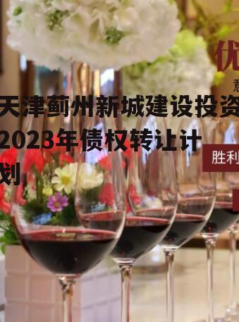 天津蓟州新城建设投资2023年债权转让计划