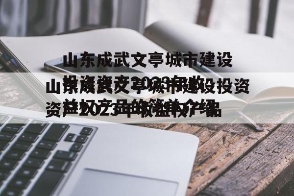 山东成武文亭城市建设投资资产2023年收益权产品的简单介绍