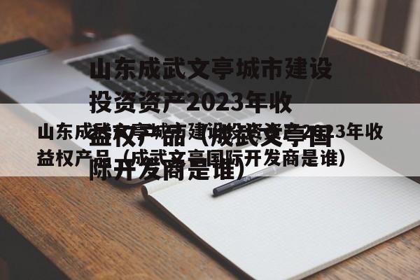 山东成武文亭城市建设投资资产2023年收益权产品（成武文亭国际开发商是谁）