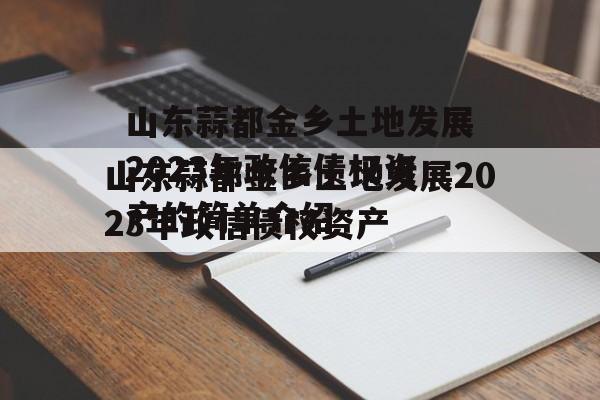 山东蒜都金乡土地发展2023年政信债权资产的简单介绍