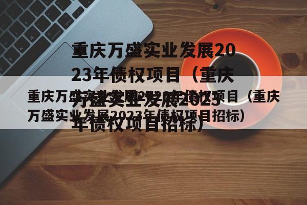 重庆万盛实业发展2023年债权项目（重庆万盛实业发展2023年债权项目招标）