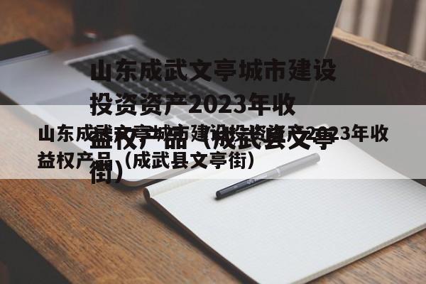 山东成武文亭城市建设投资资产2023年收益权产品（成武县文亭街）