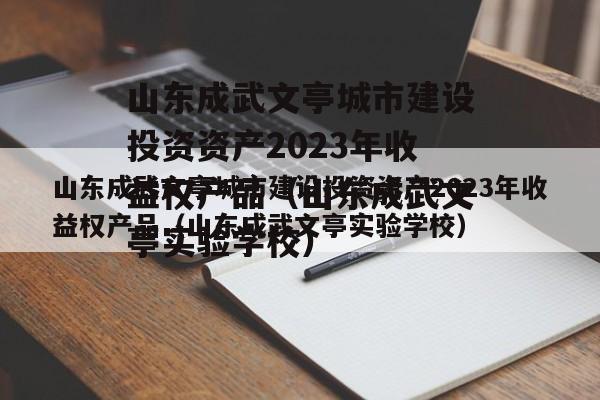 山东成武文亭城市建设投资资产2023年收益权产品（山东成武文亭实验学校）