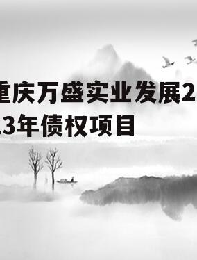 重庆万盛实业发展2023年债权项目