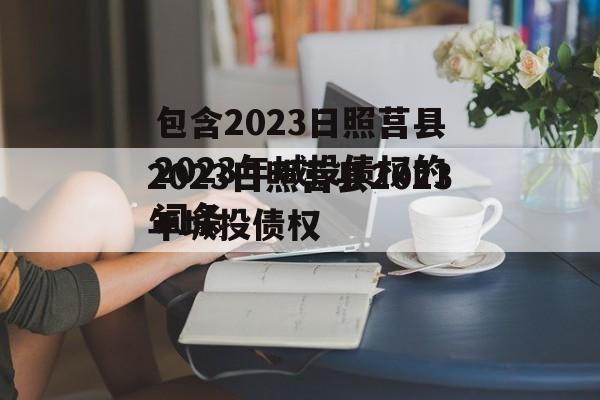 包含2023日照莒县2023年城投债权的词条