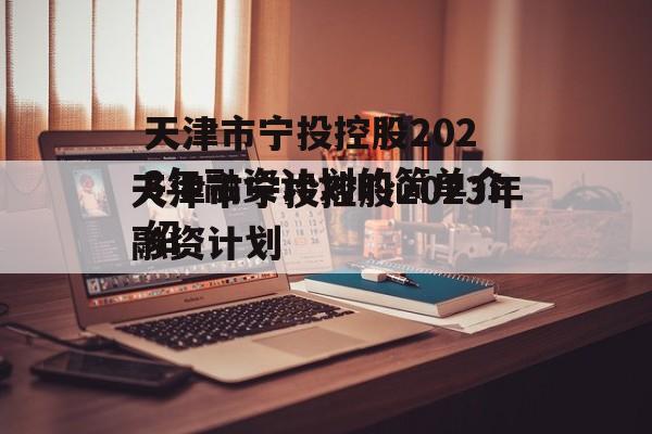 天津市宁投控股2023年融资计划的简单介绍