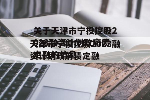 关于天津市宁投控股2023融资计划政府债定融的信息