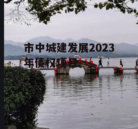 市中城建发展2023年债权项目