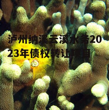 泸州纳溪云溪水务2023年债权转让项目