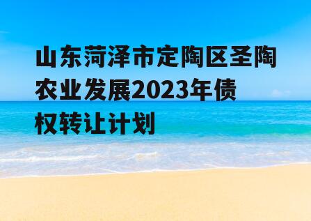 山东菏泽市定陶区圣陶农业发展2023年债权转让计划