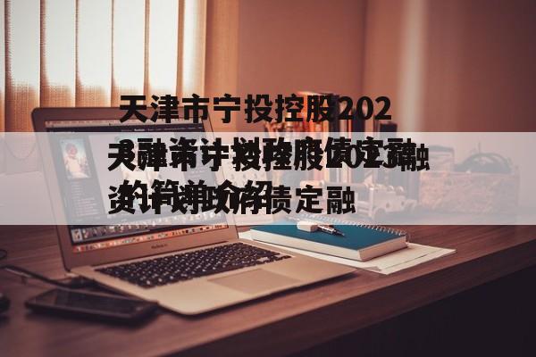 天津市宁投控股2023融资计划政府债定融的简单介绍