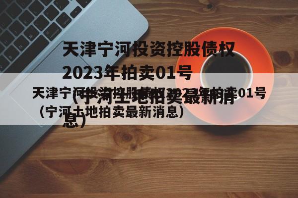 天津宁河投资控股债权2023年拍卖01号（宁河土地拍卖最新消息）