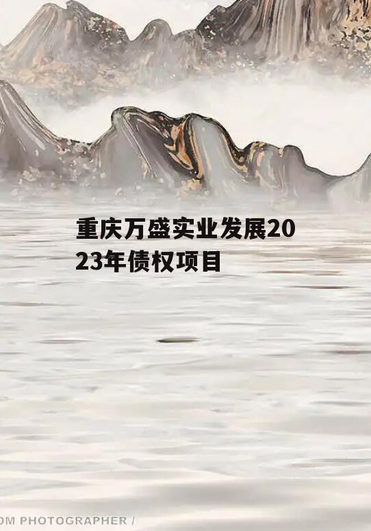 重庆万盛实业发展2023年债权项目