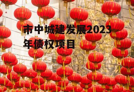 市中城建发展2023年债权项目