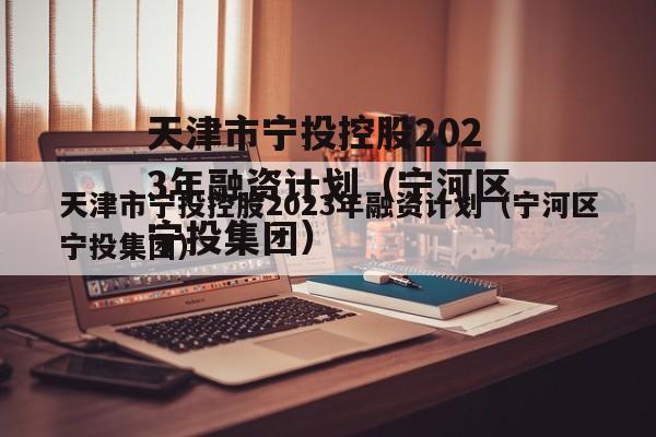 天津市宁投控股2023年融资计划（宁河区宁投集团）