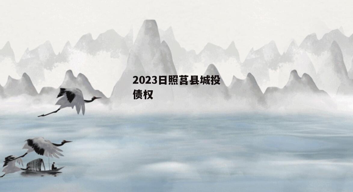 2023日照莒县城投债权