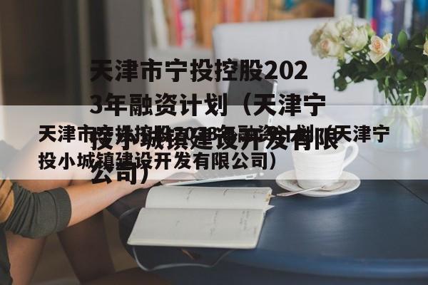 天津市宁投控股2023年融资计划（天津宁投小城镇建设开发有限公司）