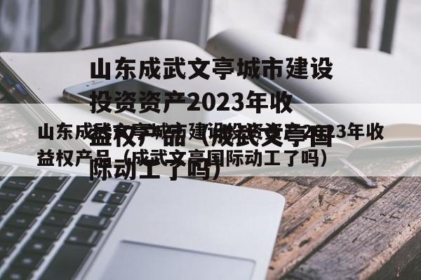 山东成武文亭城市建设投资资产2023年收益权产品（成武文亭国际动工了吗）