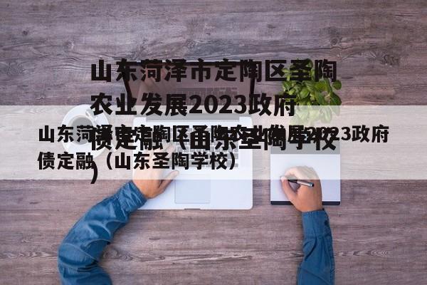 山东菏泽市定陶区圣陶农业发展2023政府债定融（山东圣陶学校）