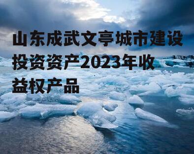 山东成武文亭城市建设投资资产2023年收益权产品