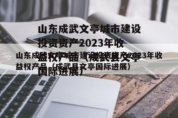 山东成武文亭城市建设投资资产2023年收益权产品（成武县文亭国际进展）